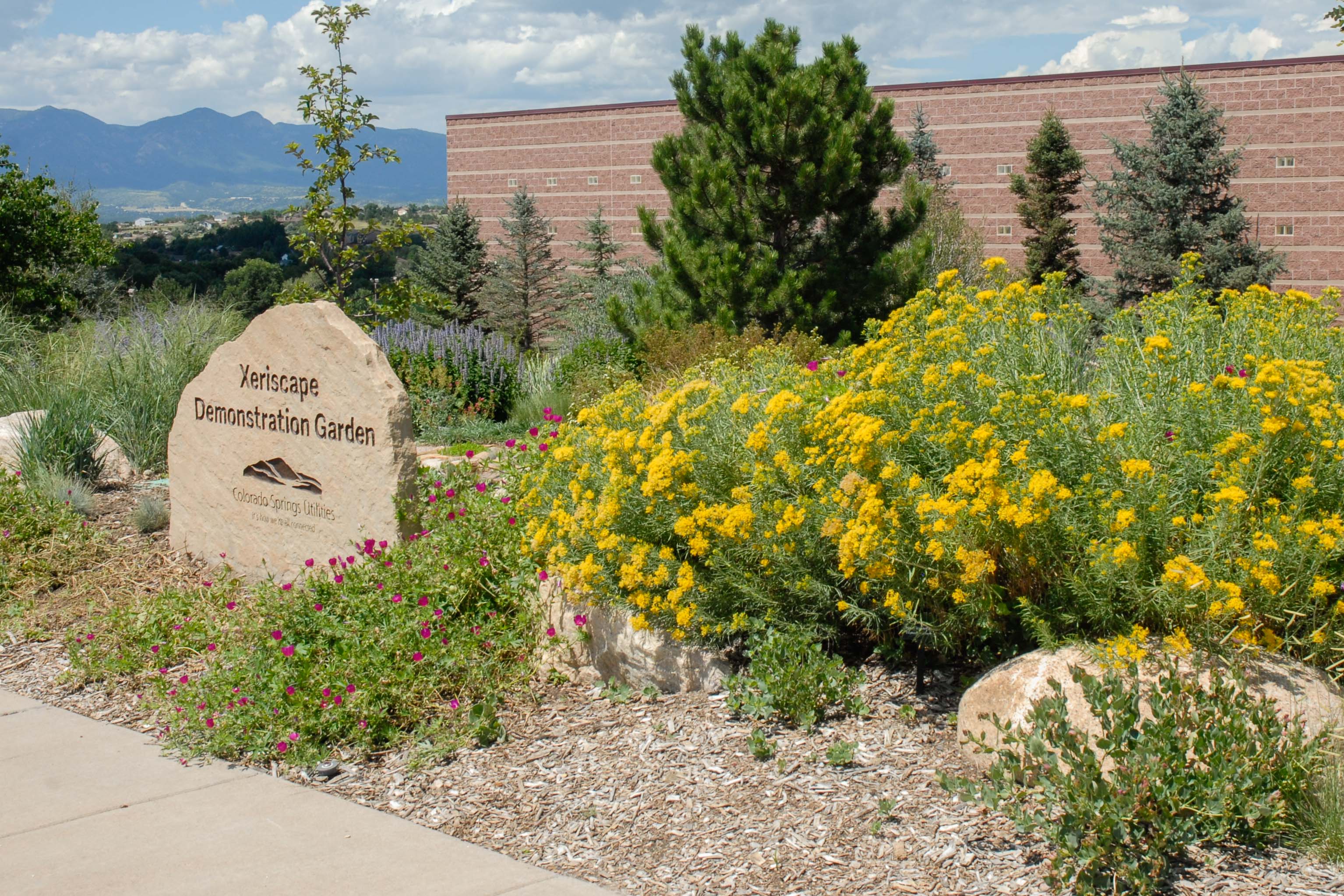 Cottonwood Creek Garden